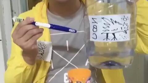 老杨伏特加视频吃瓜,揭秘网红背后的故事