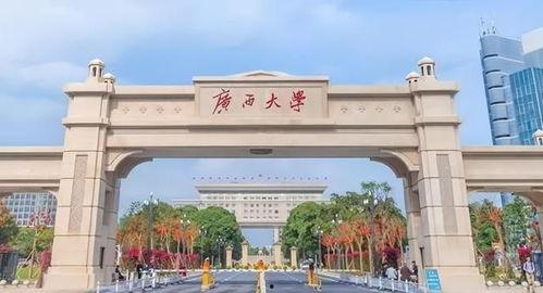 广西大学行建吃瓜视频,揭秘校园美食背后的故事