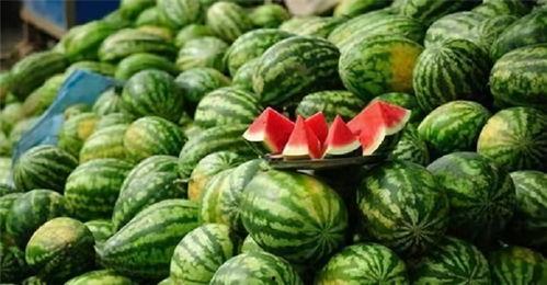 广西大学行建吃瓜视频,揭秘校园美食背后的故事