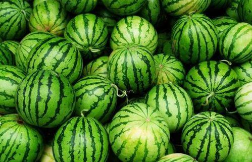 吃瓜视频在哪里能看到,吃瓜视频，一网打尽热门内容，带你轻松追剧！