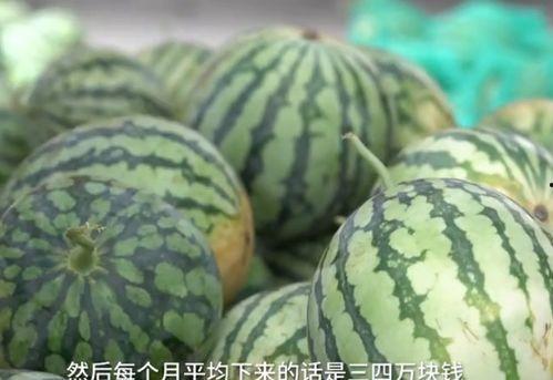 吃瓜视频素材30秒,揭秘娱乐圈最新热点事件