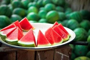 吃瓜视频素材30秒,揭秘娱乐圈最新热点事件