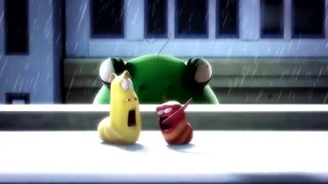 虫子吃瓜视频,瓜田里的奇妙食趣