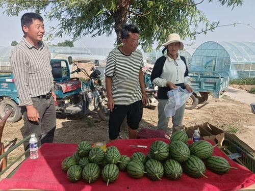 吃瓜视频东风街,吃瓜群众的热门话题聚焦地