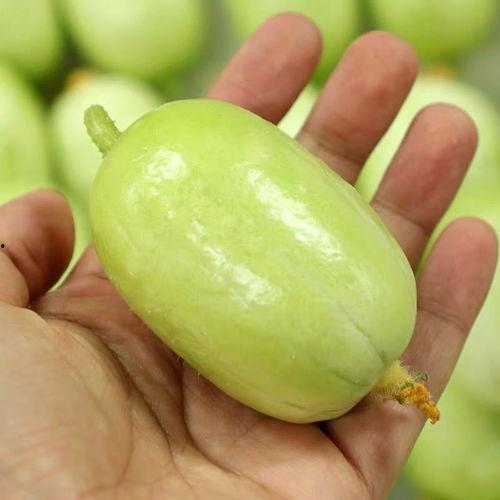 吃瓜小视频是指什么,网络时代的娱乐新风尚