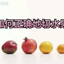 吃蒲瓜用削皮吗视频,蒲瓜食用前的削皮技巧揭秘