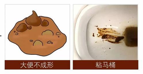 吃瓜大便有籽正常吗视频,正常现象背后的科学解释