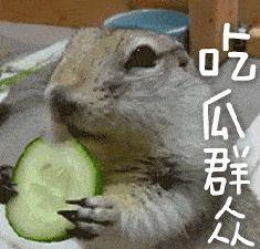 虎子吃瓜视频完整版,揭秘娱乐圈幕后真相，带你领略明星真实生活