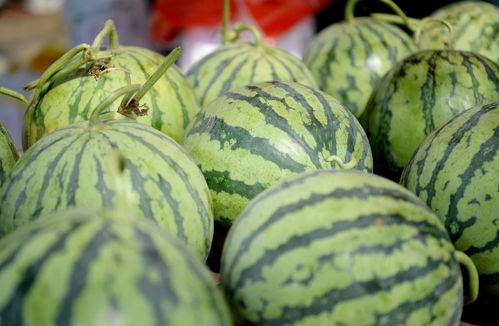 吃瓜视频壁纸图片高清,吃瓜群众视角下的娱乐盛宴