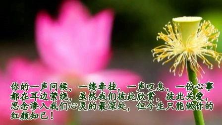 看花和吃瓜朗诵配乐视频,一场视觉与味觉的盛宴