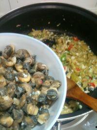 吃瓜挖螺视频在线观看,在线观看的趣味农业体验