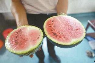 催熟瓜没有瓤可以吃吗视频,食用安全与口感探索