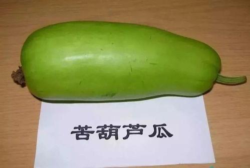 葫芦瓜做法小孩吃的视频,简单美味，营养满分