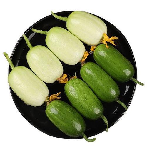 长条瓜怎么吃最好吃视频,视频教你轻松解锁最佳口感