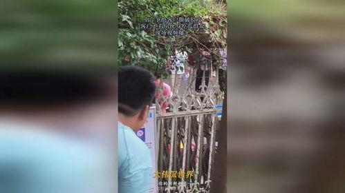 真实吃瓜现场视频大全最新,视频大全带你直击热门事件瞬间