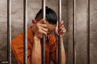 去法庭吃瓜犯法吗视频,法律边界与公众好奇心的碰撞