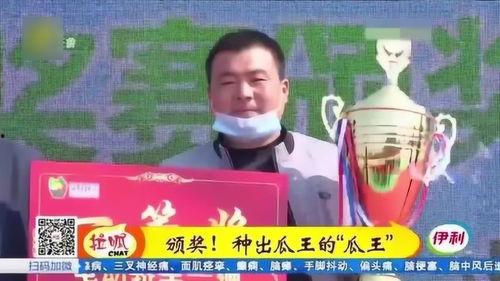 吃瓜界的王小视频,吃瓜界的风云人物，揭秘娱乐圈幕后故事