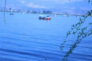 邛海吃瓜事件视频播放,一场网络热议的视觉盛宴