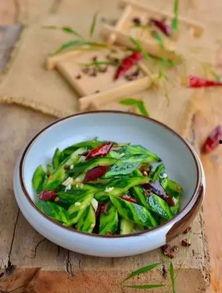 瓜能做什么特色菜吃呢视频,瓜类食材创意特色菜制作攻略