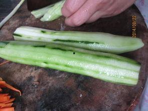 吃瓜神器怎么做视频教学,轻松学会制作“吃瓜神器”教学视频的实用指南