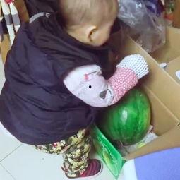 抱孩子视频吃瓜,抱娃吃瓜，温馨日常一幕引网友热议