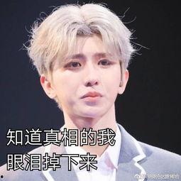 蔡徐坤直播间吃瓜视频下载,揭秘明星幕后趣事