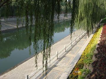 滨河公园吃瓜事件视频最新,一场引发热议的街头冲突瞬间