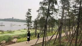 滨河公园吃瓜事件视频最新,一场引发热议的街头冲突瞬间