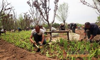 滨河公园吃瓜事件视频最新,一场引发热议的街头冲突瞬间