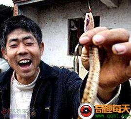 老爷爷吃毒蛇瓜视频播放,视频播放引发网友热议