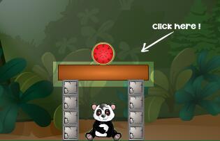 大熊猫吃瓜小视频大全,萌态十足！