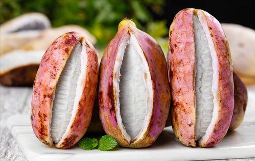 茉莉吃八月瓜笑场视频,瓜笑果甜！