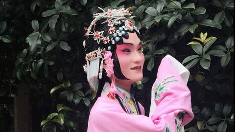 公主看戏吃瓜视频大全,公主看戏吃瓜，揭秘古代宫廷娱乐生活