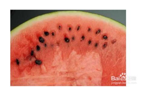 北方人吃瓜吃籽吗视频大全,吃籽还是吐籽？视频大全大揭秘