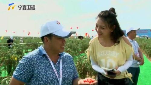 伊犁女的吃瓜事件真相视频,真相与误解的交织