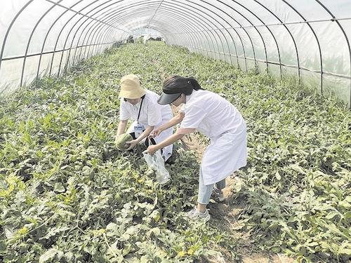 武汉群众吃瓜视频,全民围观，欢乐共享