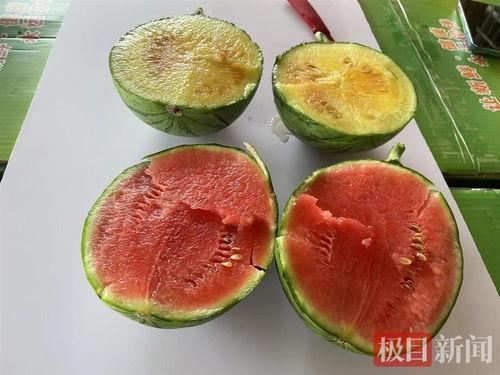 武汉群众吃瓜视频,全民围观，欢乐共享