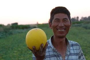 吃瓜视频10分钟在线观看,带你速览娱乐圈新鲜事