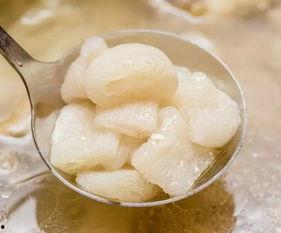 椰子鸡吃瓜的视频大全集,视频大全集精彩回顾