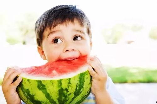 吃瓜视频大全新手,轻松上手，畅享娱乐盛宴