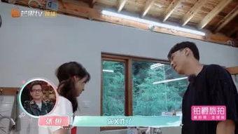 前段时间吃瓜视频叫什么,一场全民参与的舆论盛宴