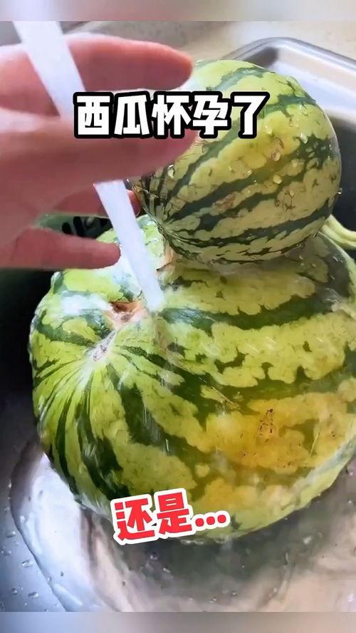 吃瓜搞怪配音视频下载安装,轻松打造趣味娱乐时光