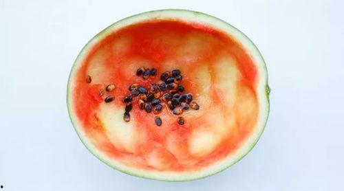 临安吃瓜事件真相视频