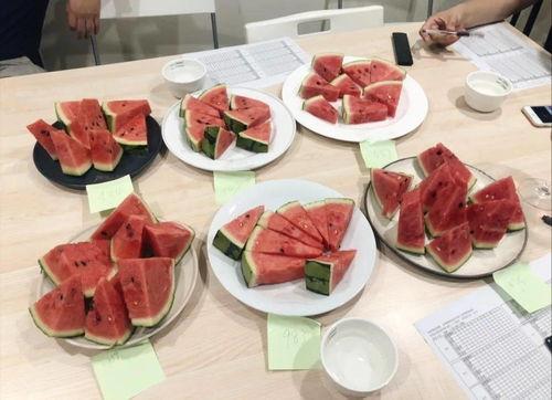 大瓜西西吃小吃视频播放,一场味蕾的盛宴之旅