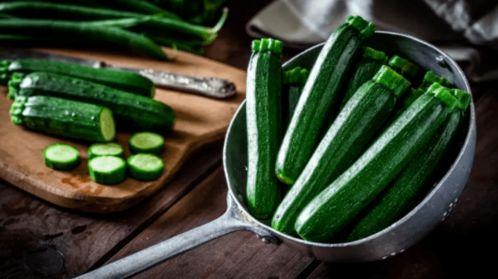 吃蒲瓜会中毒吗视频