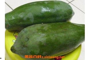 臭瓜萎的籽可以吃吗视频,营养与安全并重的美味探索