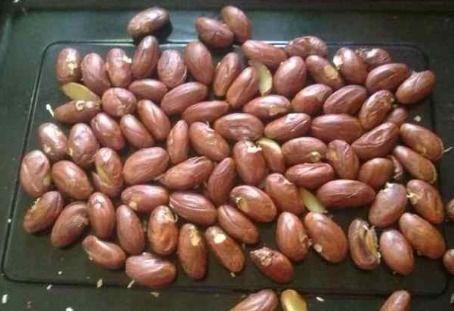 臭瓜萎的籽可以吃吗视频,营养与安全并重的美味探索