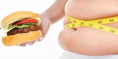 吃酥瓜会不会胖呢视频讲解