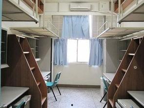 河职宿舍吃瓜视频,揭秘校园生活幕后趣闻