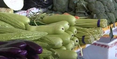 葫芦瓜怎么卷着吃视频,视频教你轻松卷着吃